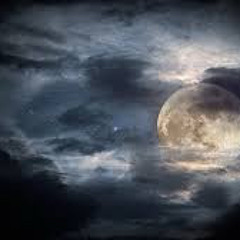 Moon Kisses The Sun Feat. Neila        MIXED-MASTERED _ TRIPSDOG  12-20-17 produced by John kreese