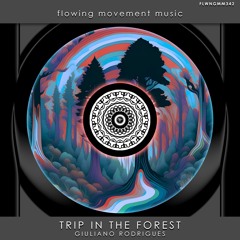 Trip In The Forest