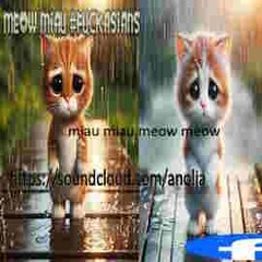 anolja - miaumeowmiaumeow #🌧🌦⛈🐈🐱😺