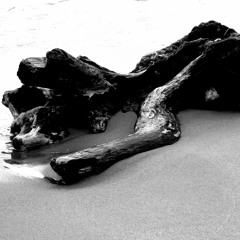 Fluorescence (free download)