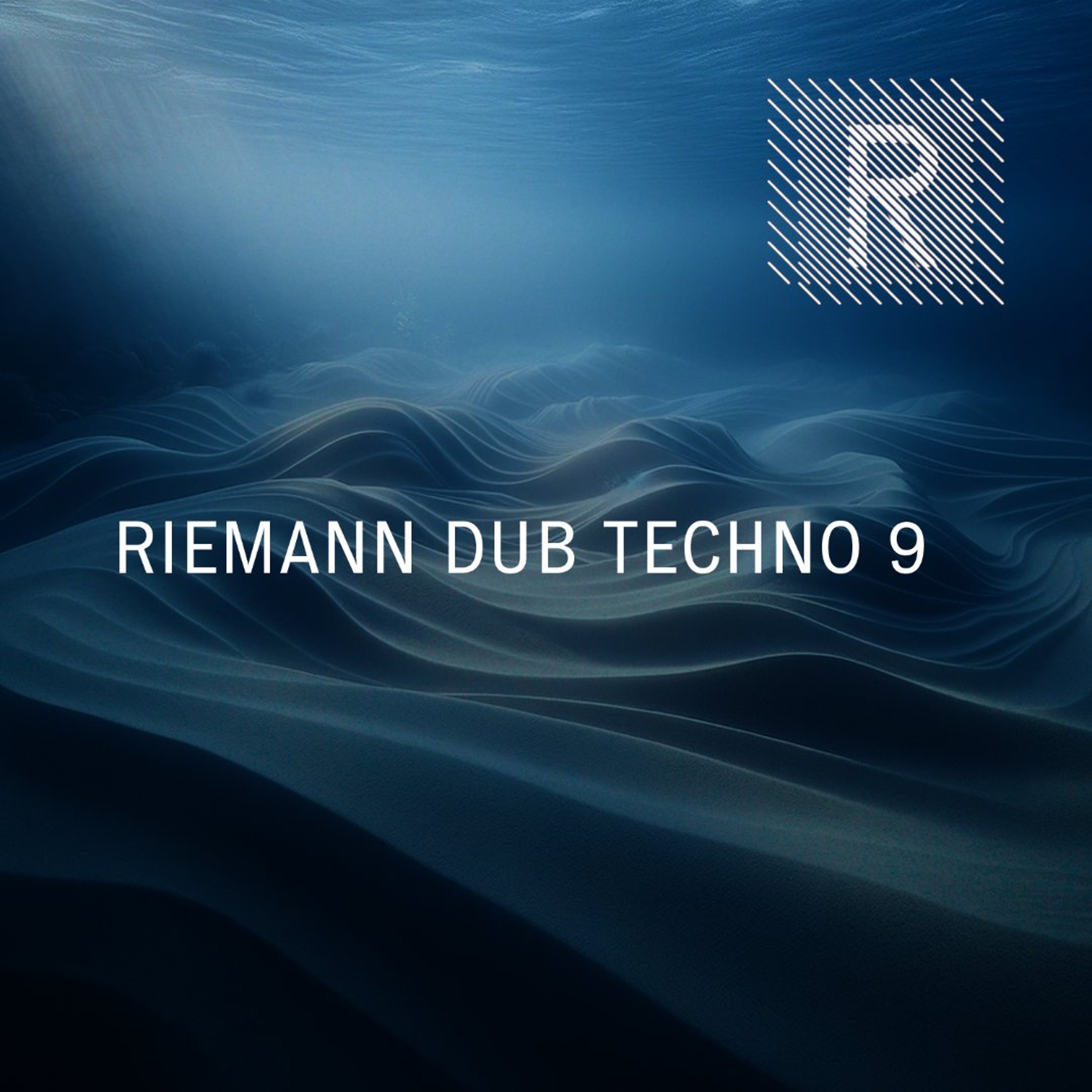 Riemann Dub Techno 9 (Sample Pack Demo Song) episode artwork