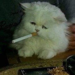 резко дерзко(-#__._#)