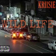 WILD LIFE