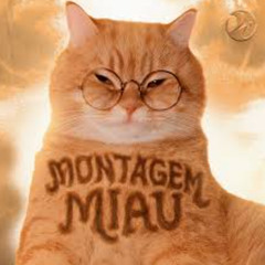 Montagem Miau (Jersey Club) @ranny @TameCheetah Beats