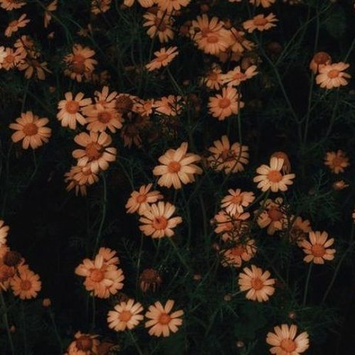 ainsi bas la vida edit audio