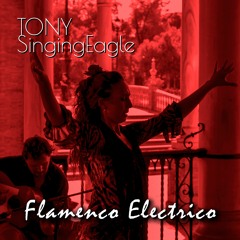 Flamenco Electrico