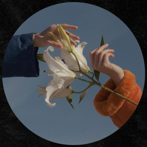 Luis Piñeiros - Miniserie (Gift Track)