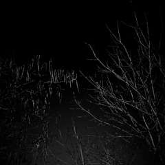 Dead&Gone(feat.Aujin)