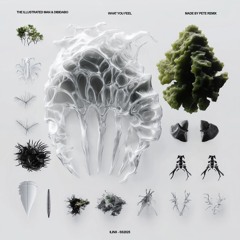 THE ILLUSTRATED MAN & DIBIDABO - What You Feel
