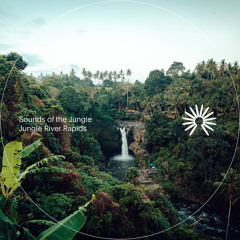 River Water on Roots