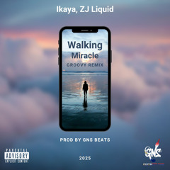 Walking Miracle groovy Remix