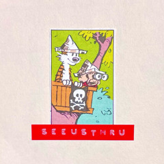 seeusthru