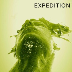 Expedition 039 by Safa