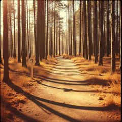 Dj.DamianR - When the Road Seems Closed (inspired by the poem of Roma Lemańska)