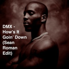 DMX - How's It Goin Down (Sean Roman Edit) *FREE DOWNLOAD*