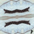 Artwork for Shrove