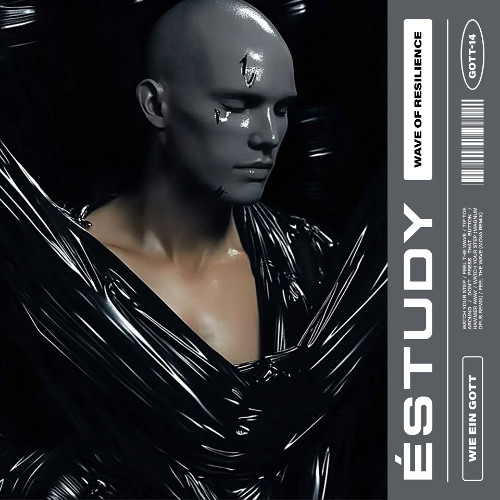 éstudy - Feel the Wave (Mova Remix) - GOTT14