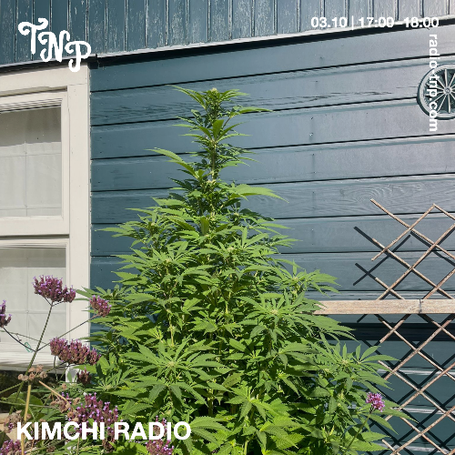 Kimchi Radio