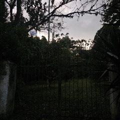 I didnt want to get into this