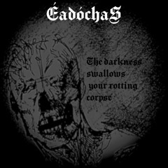 The darkness swallows your rotting corpse