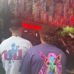 TEDS TRAXX 003