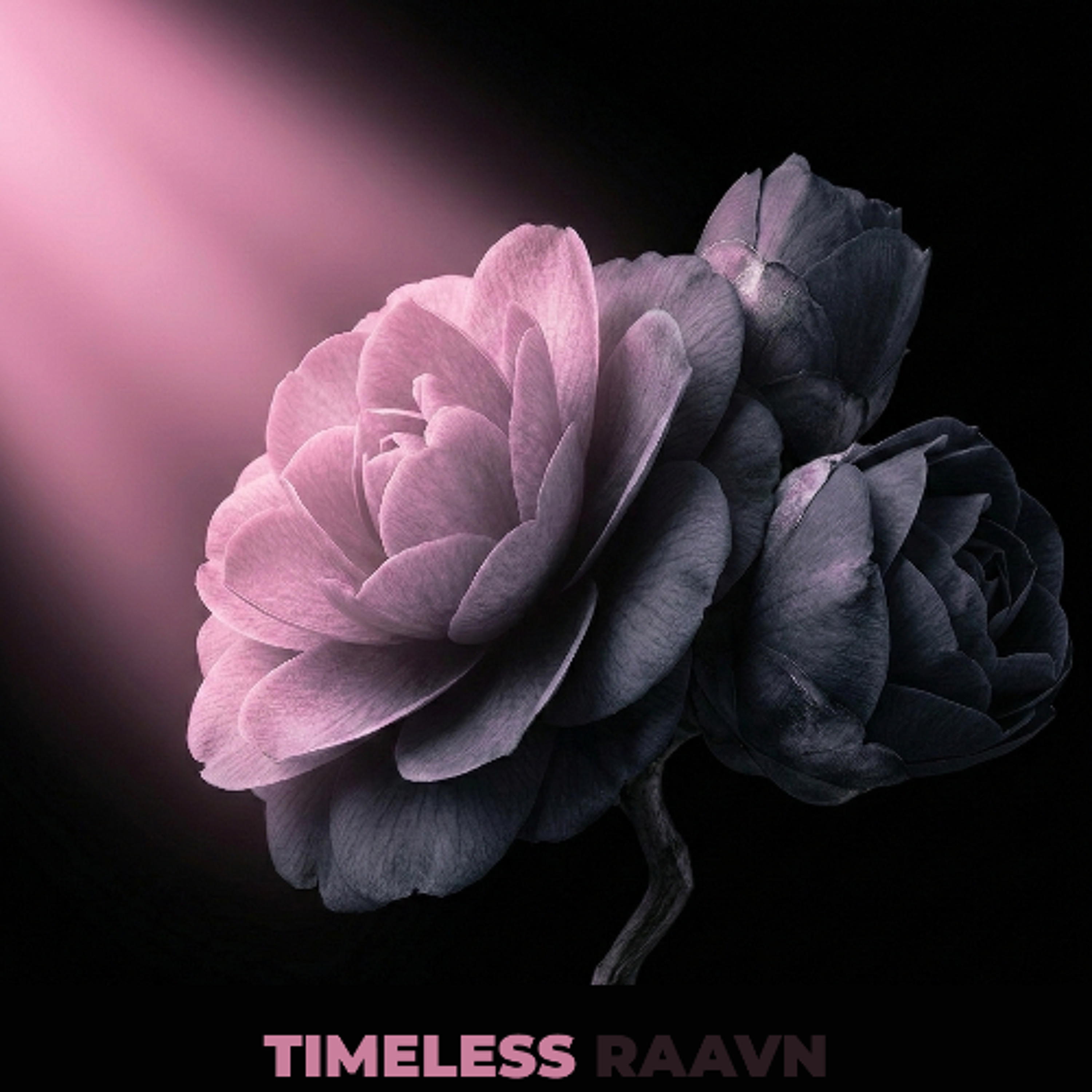 Timeless (Original Mix) episode artwork