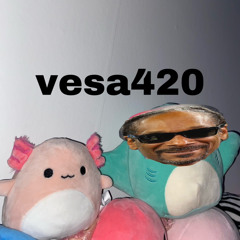vesa420 - self titled