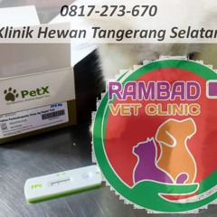 0817-273-670 Klinik Hewan Pondok Aren Tangerang Selatan, Rambad Vet Clinic