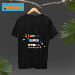 Wisconsin Sass Love Is Never Wrong Abuse Always Is Shirt