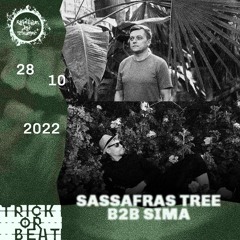 Sassafras Tree b2b SIMA @ Trick or Beat | Hala Stulecia 28.10.2022