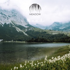 Premiere : Meadow - Nefelejcs [BANDCAMP]