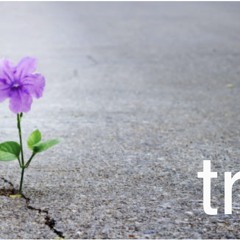 Try
