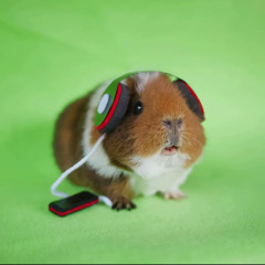 (◣ _ ◢)