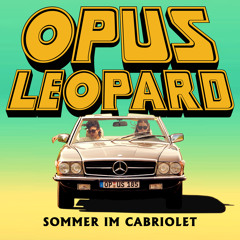 Sommer im Cabriolet