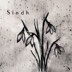 Nachtblumen Podcast #24 Sindh