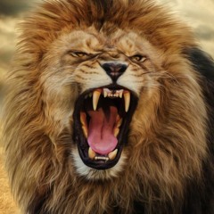 Bill and Denise: Lions Roar