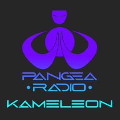 Dj Kameleon | Pangea Radio | Episode 19 | Progressive Tribal House