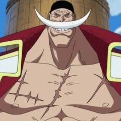 THE ONE PIECE IS REAL