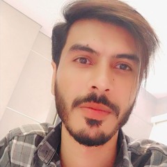 HABIBI_-_YO_YO_HONEY_SINGH_X_EMIWAY_BANTAI__MUSIC_VIDEO_PROD.MADHAV_BEAT(256k).mp3