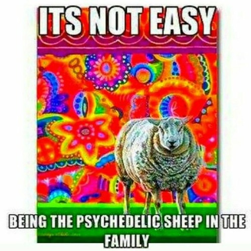 Where Does It Fucking End