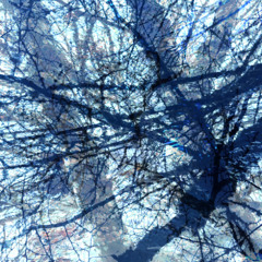 Is that alright? (prod salmonghost)