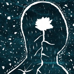 Outside Observer - Lumiere