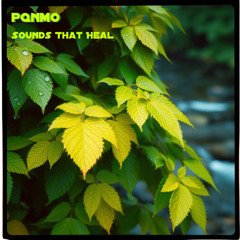 Sounds That Heal