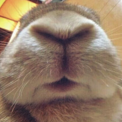 go eat a carrot ugly
