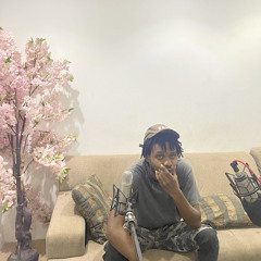 SF233 FREESTYLE (UNCUT)