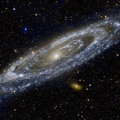 Die Depressiven Dadaisten - Kontaktversuch mit der Andromedagalaxie