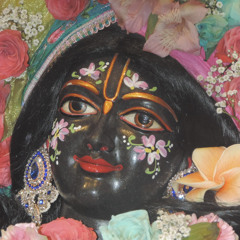 Krishna Kishore Muralidhara Das ~ Festival of the Holy Name {Day 1} ~ 11.26.21