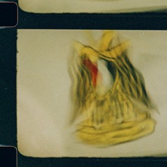 Golden_Eagle