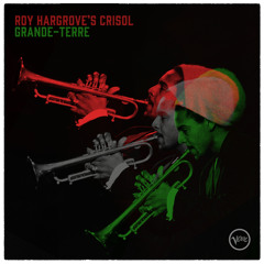 Rumba Roy