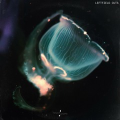Leftfield Cuts